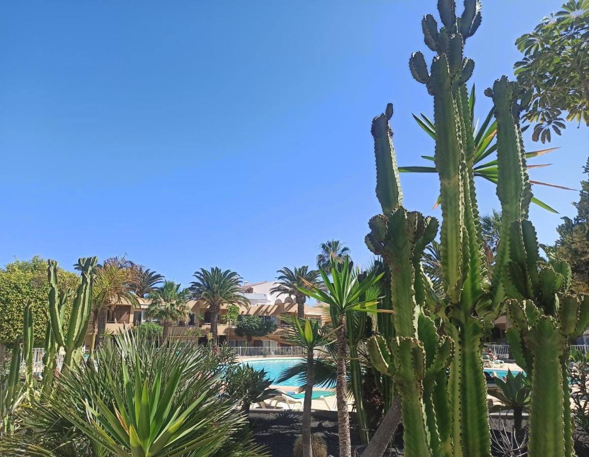 Elrincondesara Corralejo Exterior foto
